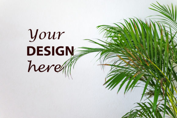 Areca Palm Mockup Background: A Practical Asset for Visual Presentations